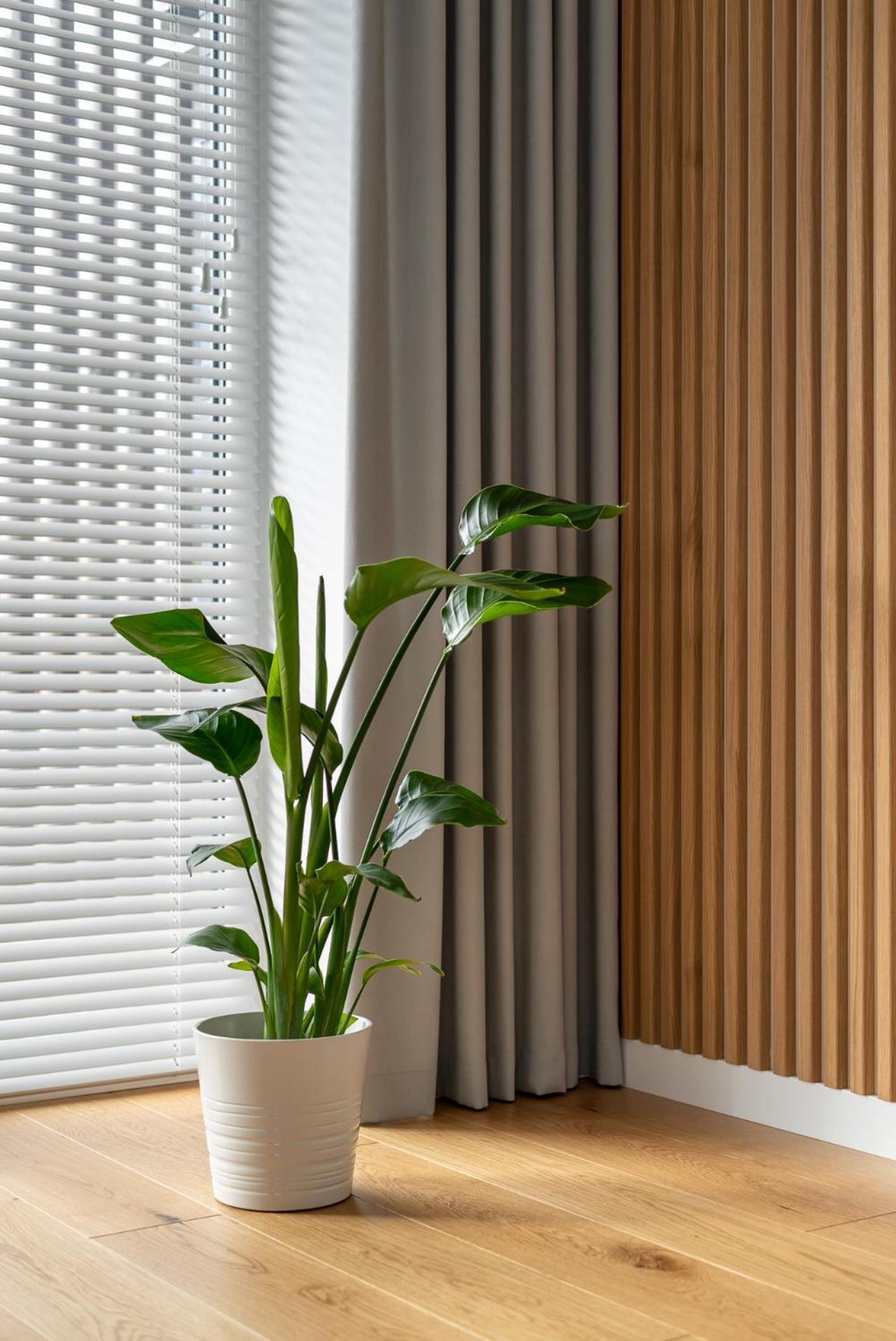 D33 Vilnius - Brand New Luxury Apartment With Terrace, Garden, Ac And Parking Exterior foto